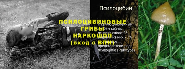 стафф Армянск