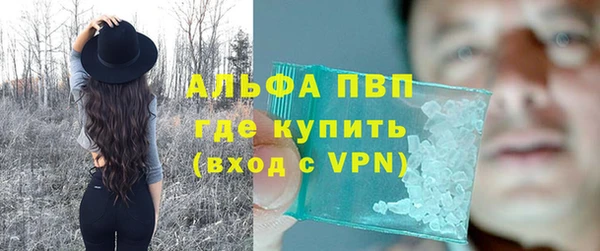 стаф Балахна